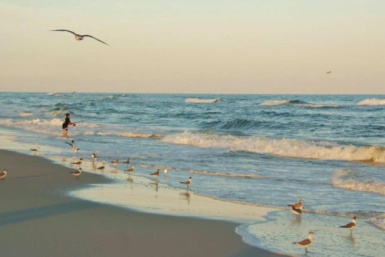 Appartamento Ocean Reef 110 Gulf Shores Esterno foto